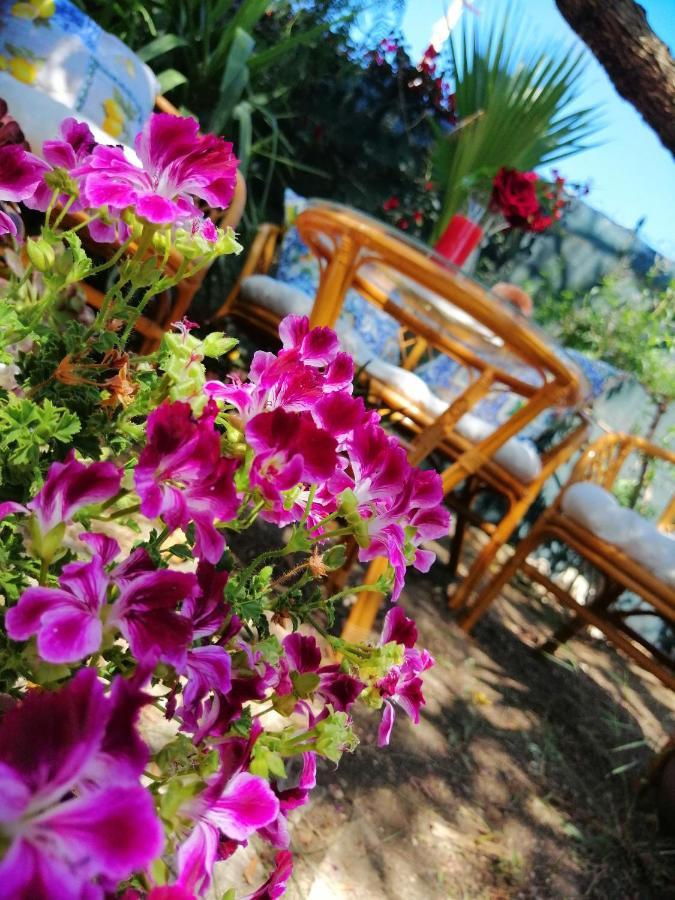 Lumie Di Sicilia Acomodação com café da manhã Porto Empedocle Exterior foto